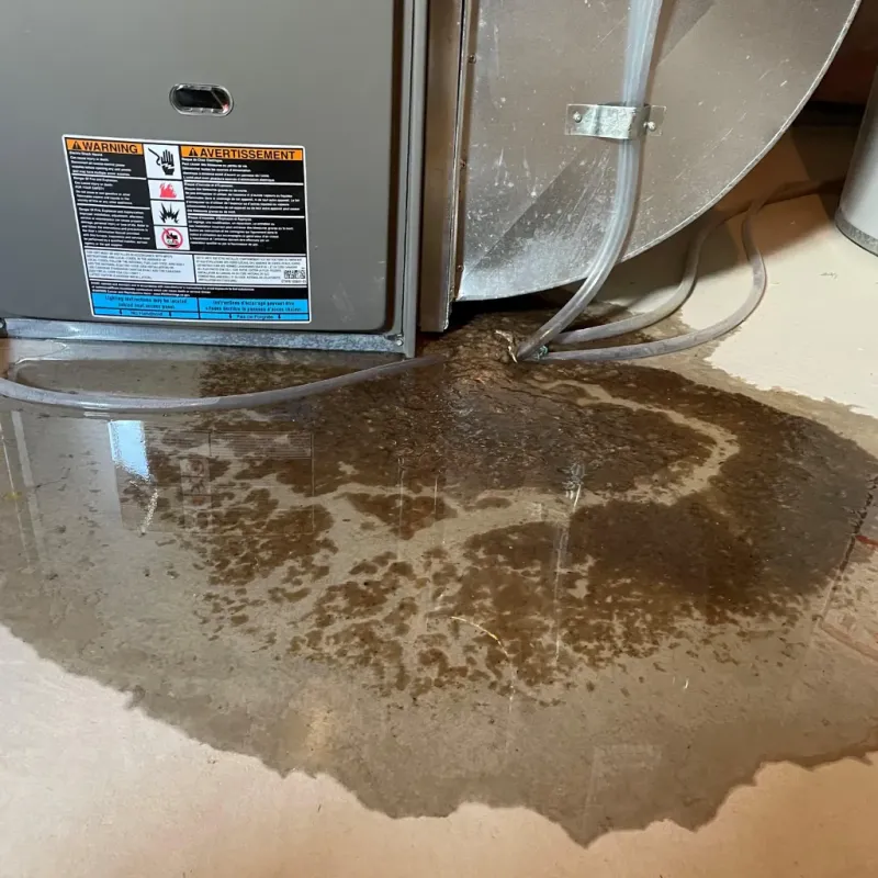 Appliance Leak Cleanup in East Pittsburgh, PA